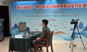 绝地翻盘！王星昊问鼎阿含·桐山杯中日围棋冠军对抗赛