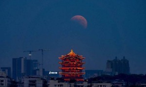 今晚将迎月全食！附观赏时间表→