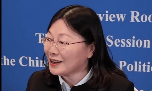 20+两会代表委员热议AI！王坚纠偏模型开源，雷军呼吁L2脱手处罚，甄子丹称打不过机器人